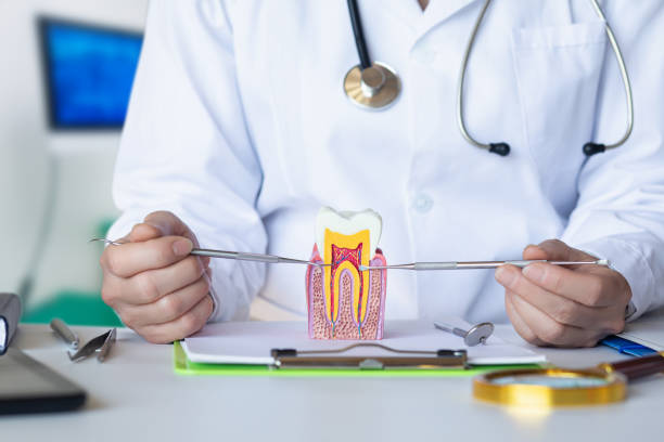 Best After-Hours Emergency Dentist in Romeovle, IL